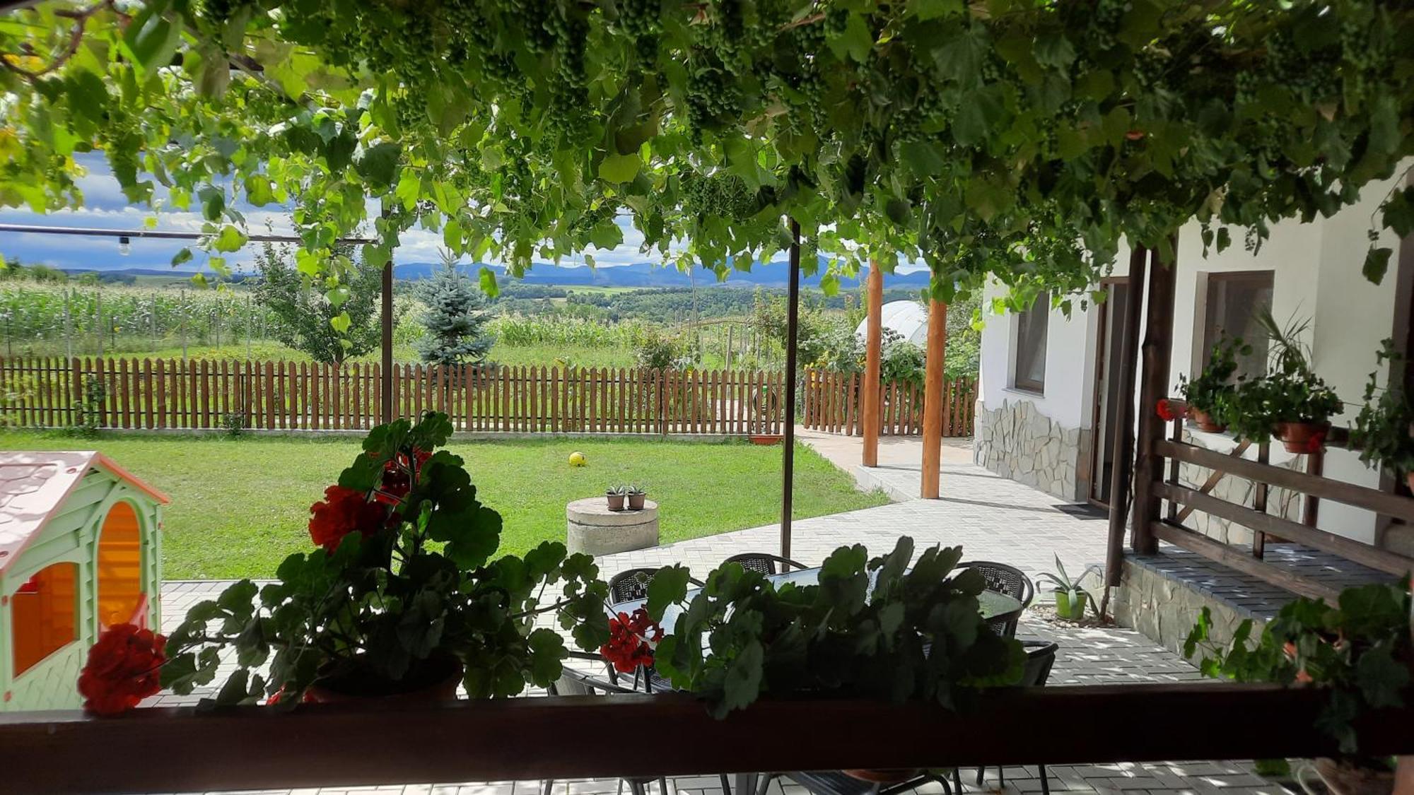 Casuta Din Deal Târgu Neamț Esterno foto